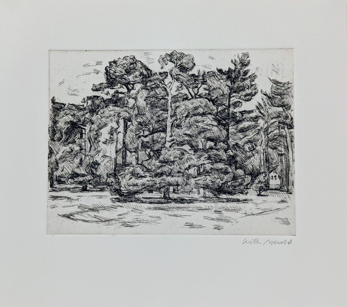 Dense forest landscape rendered in black ink with rapid, gestural hatching lines. Tall pine trees dominate the composition, their trunks and foliage creating a layered, textured canopy against a light ground, with an open foreground suggesting a clearing or water's edge.