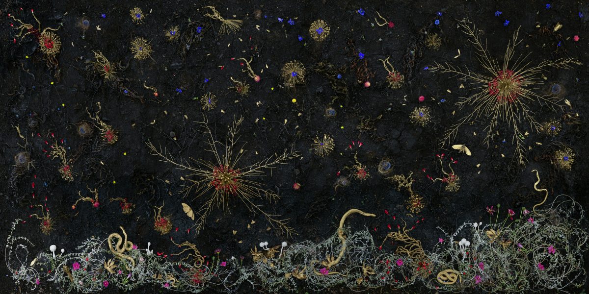 Intricate illustration on a dark background featuring luminescent botanical and cosmic imagery, with bioluminescent pigments creating glowing orbs, radiating starburst forms, and delicate plant tendrils in blues, reds, yellows, and whites. A dense, ornamental garden of otherworldly flora anchors the lower portion, while ethereal organisms and branching structures float throughout the composition.