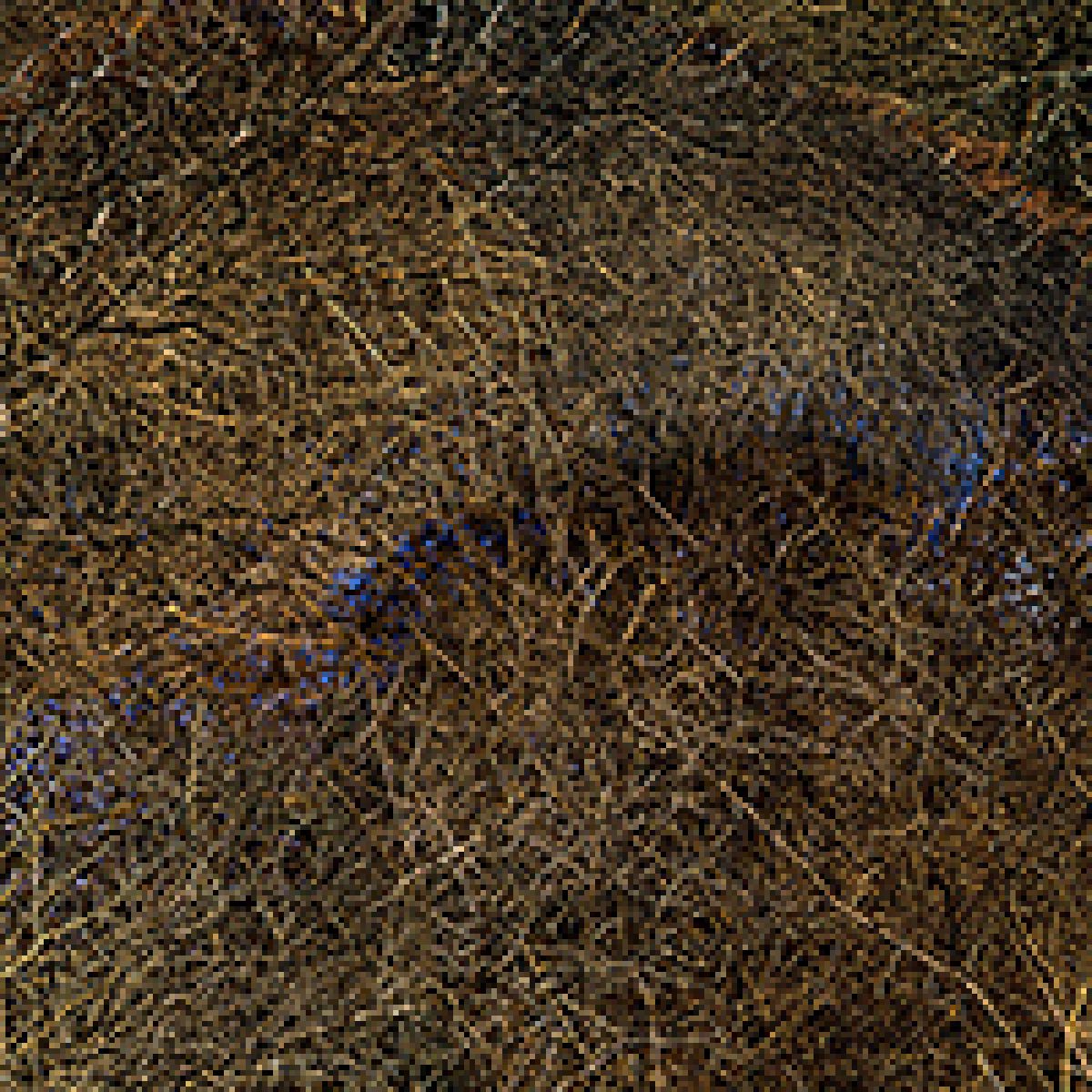 Dense network of intertwining dark branches and twigs against a warm brown and ochre ground, creating an intricate, tangled linear composition across the entire frame.