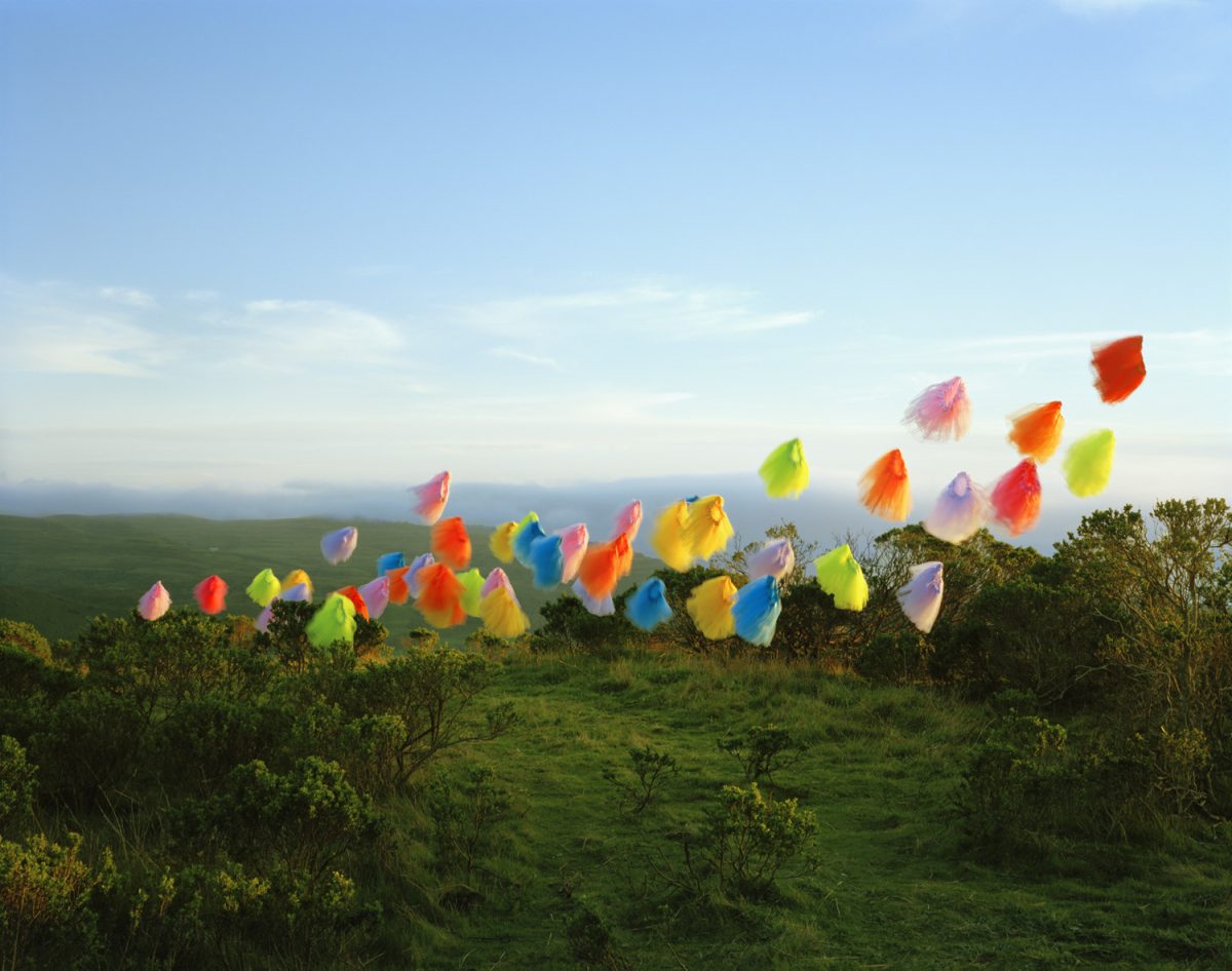 Colorful fabric tutus in vibrant hues of red, yellow, blue, pink, and green flutter across a rolling green hillside dotted with low vegetation, with a distant ocean horizon and pale blue sky above.