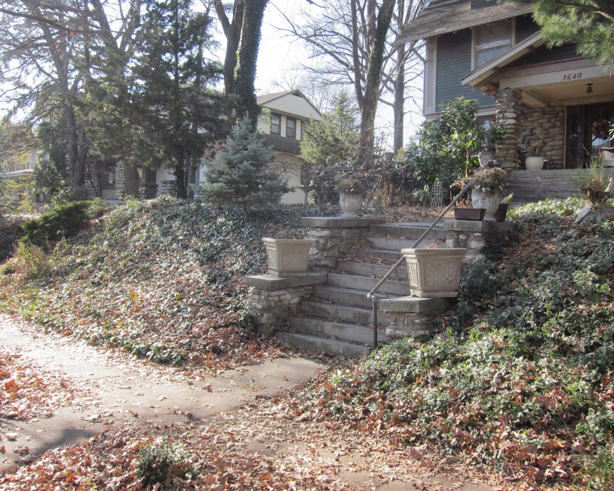 Residential front yard with stone steps leading to a house entrance, flanked by evergreen shrubs and ivy-covered hedges. Bare deciduous trees frame the scene, with fallen autumn leaves scattered across the ground and neighboring houses visible in the background.