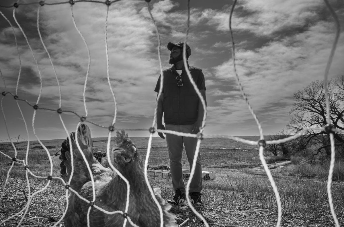 Black and white photograph showing a person standing in a vast, flat landscape with chickens in the foreground behind a wire fence. The composition is framed through the fence netting, which creates geometric lines across the image, while dramatic clouded skies dominate the background.