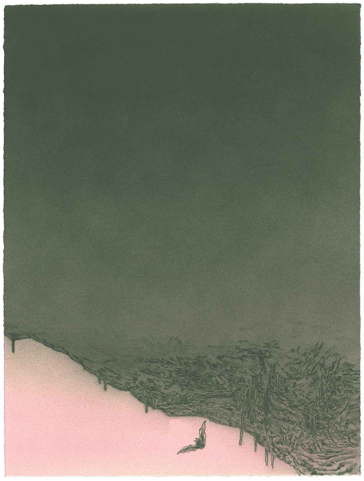 A composition divided horizontally, with a solid dark green upper section and pale pink lower section. Along the division, detailed pen work depicts wispy, wind-blown grass or vegetation that drips downward, creating a stark contrast between the two color fields. A small dark silhouette of a bird or creature appears in the pink section below.