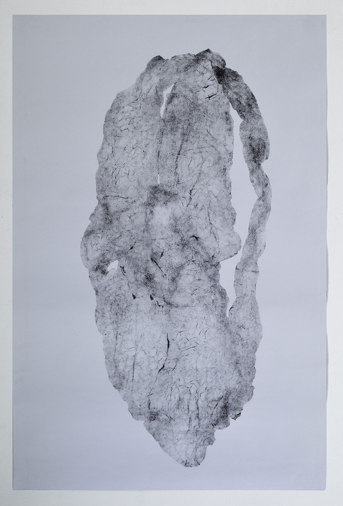 A vertical monoprint in grayscale depicting an abstracted, columnar form with a textured surface of fine lines and organic marks. The pale composition emerges from a light gray background, its irregular edges and darkened areas creating depth and dimensional quality across the elongated shape.