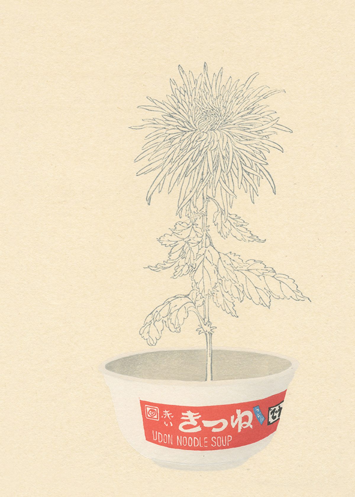 A delicate line drawing of a wilting chrysanthemum with drooping petals and leaves emerges from an instant udon noodle soup bowl with red labeling, set against a cream-colored background.