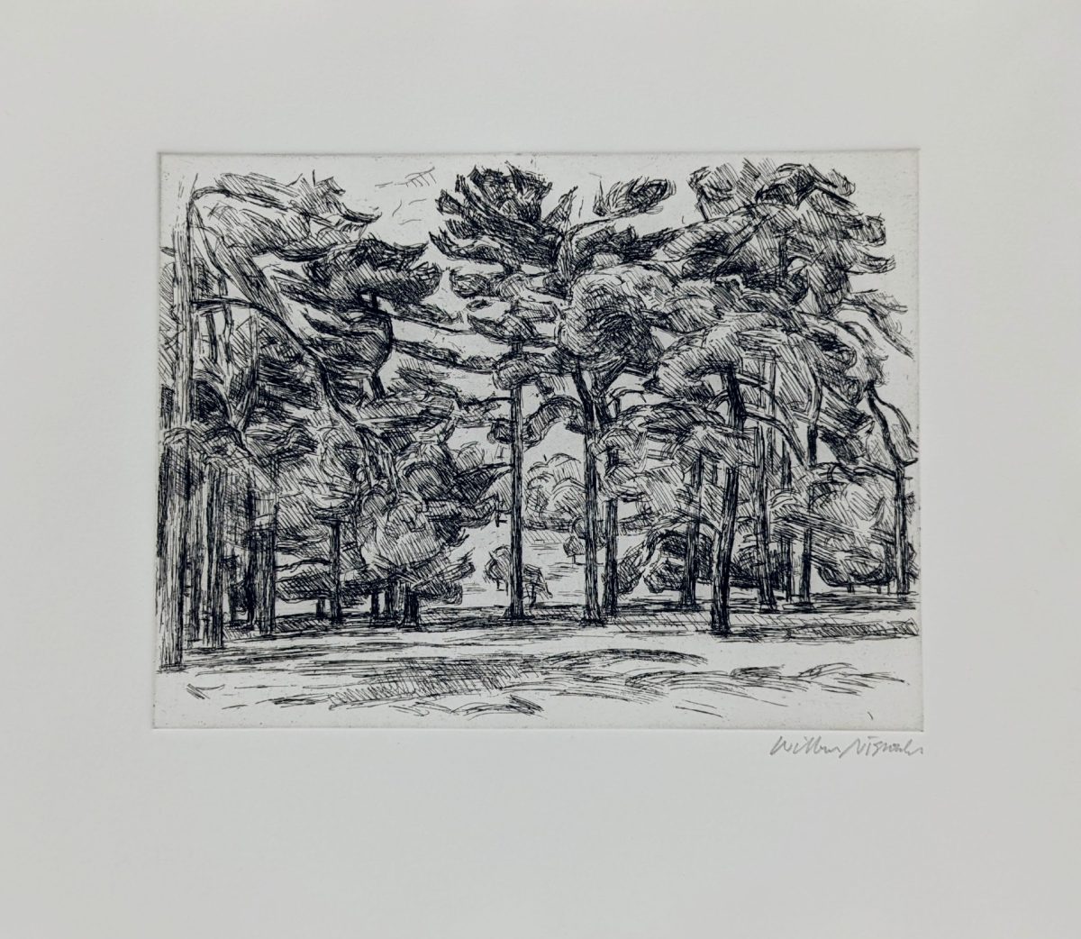 Black ink etching on white paper depicting a forest scene with tall pine trees receding into the distance, their trunks rendered in bold vertical lines while the canopy above is densely hatched with expressive, gestural marks suggesting foliage and atmosphere. The foreground shows an open ground plane, creating depth through the linear perspective of the tree-lined composition.