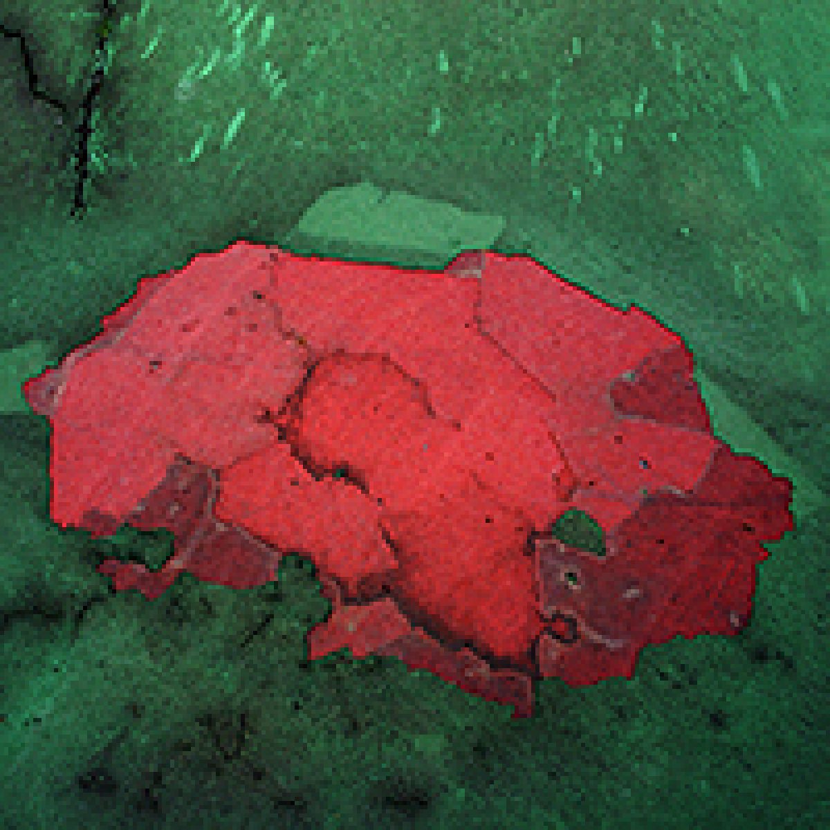 Vibrant red sculptural form with organic, undulating contours photographed against a contrasting green background. The textured surface suggests clay or similar malleable material, with the composition emphasizing the dimensional volume and tactile quality of the three-dimensional object.