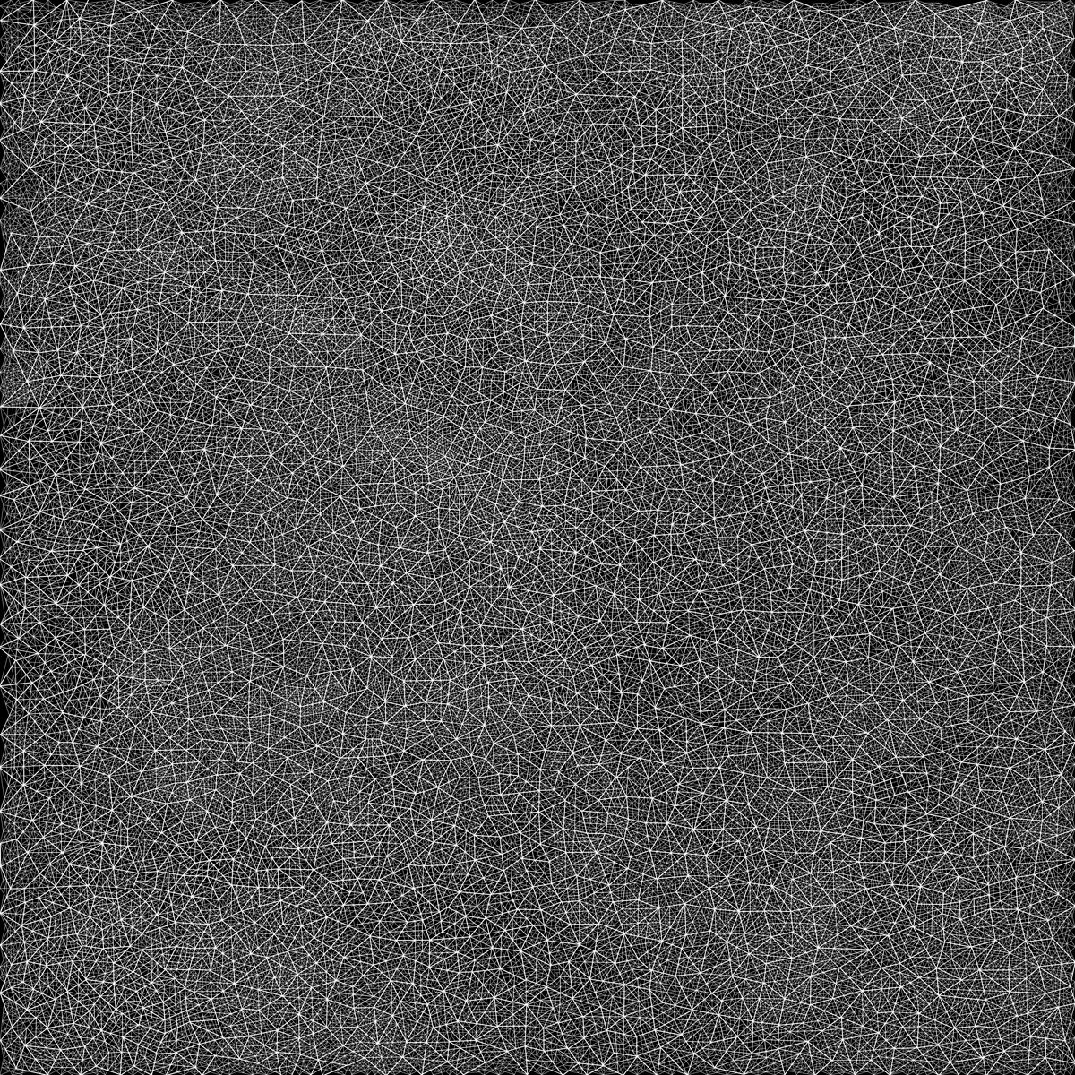 Dense network of thin white lines intersecting across a dark charcoal ground, creating an intricate web of triangular and polygonal forms throughout the composition.