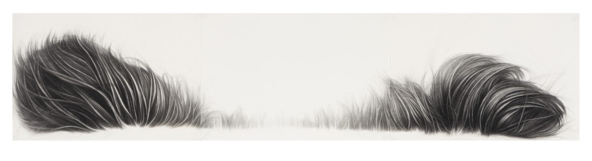 A horizontal triptych of charcoal drawings depicting two abstracted dark hair-like forms on either side with empty white space between them, creating a sense of separation or distance. The gestural marks are rendered with fine, flowing lines that fade gradually toward the center.