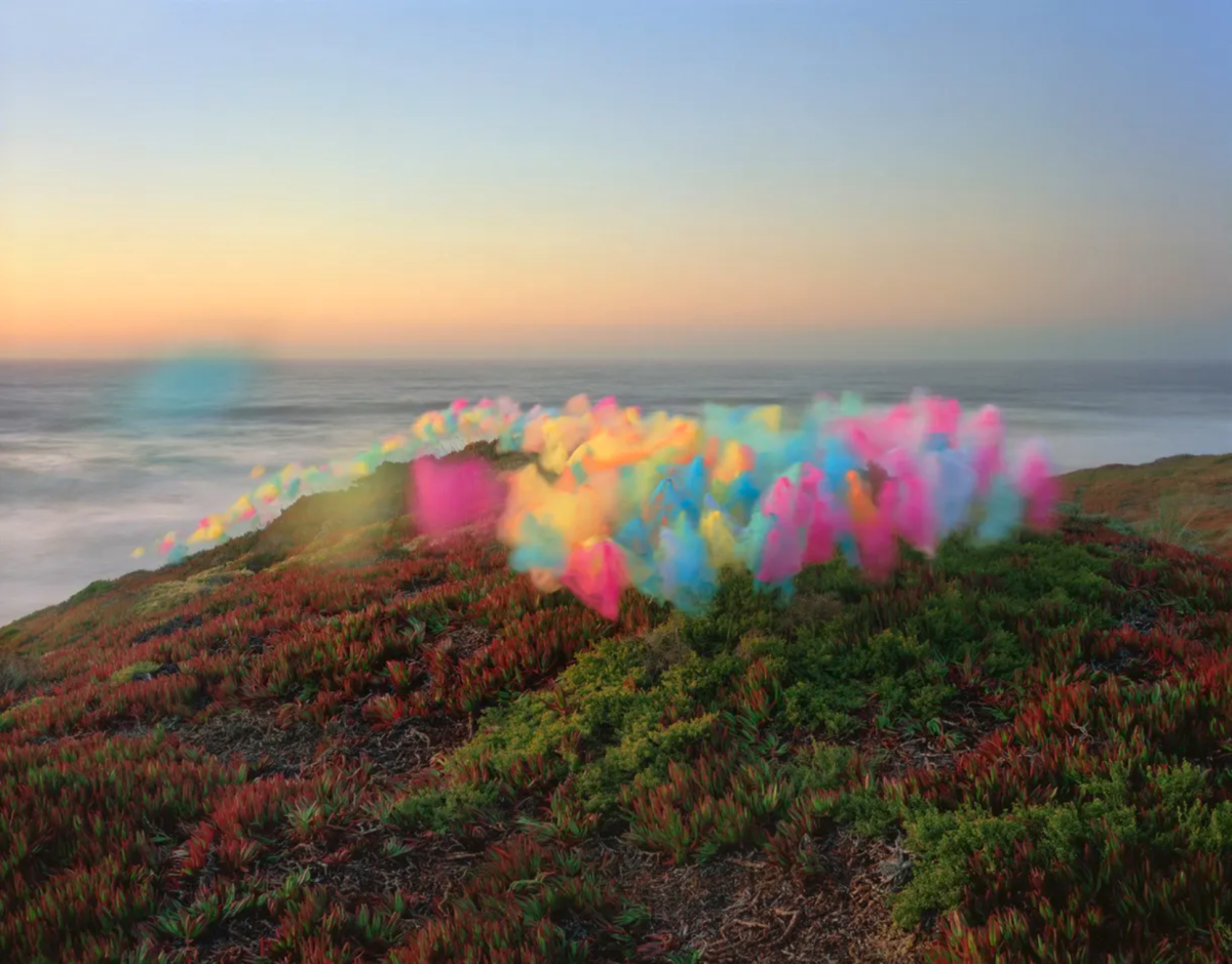Coastal hillside densely covered in red and green vegetation overlooking a misty ocean at dawn, with a billowing cloud of vibrant rainbow-colored tulle fabric suspended across the landscape.