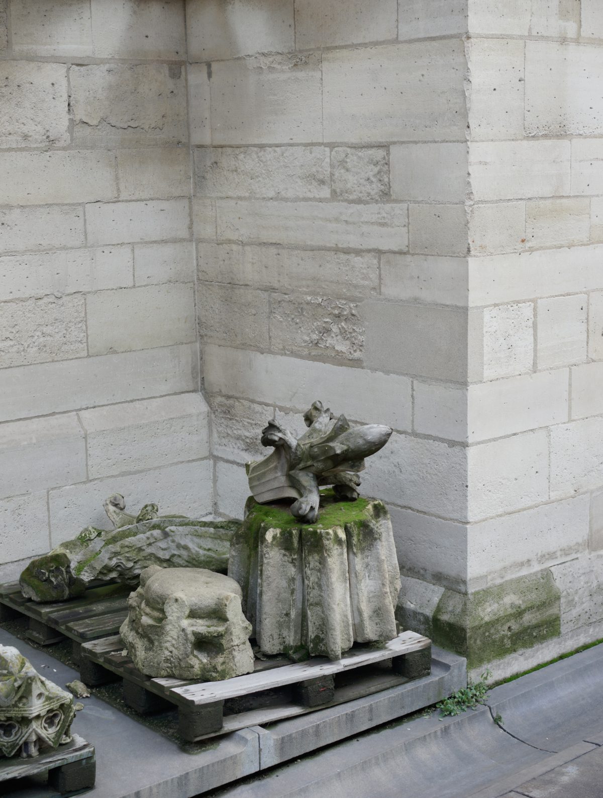 Stone architectural fragments and carved sculptural elements arranged on wooden pallets against a corner of light-colored brick walls. The collection includes a weathered stone head, decorative moldings, a winged gargoyle figure, and a crocodile or dragon form, all showing patina and moss growth from age.