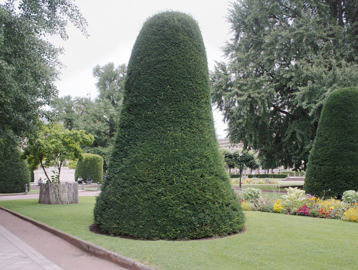 A formal garden landscape featuring a tall, conical evergreen hedge as the central focal point, surrounded by manicured lawn and colorful flower beds. Historic architecture and mature trees are visible in the background, creating a sense of European classical garden design.