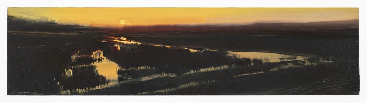 A horizontal landscape painting depicting a twilight scene over a vast floodplain with dark forested areas interrupted by golden reflections of water. The composition features a low horizon line with a pale sun setting above, while the foreground shows streaked brushwork in blacks and golds creating an atmospheric, moody effect typical of oil painting on panel.