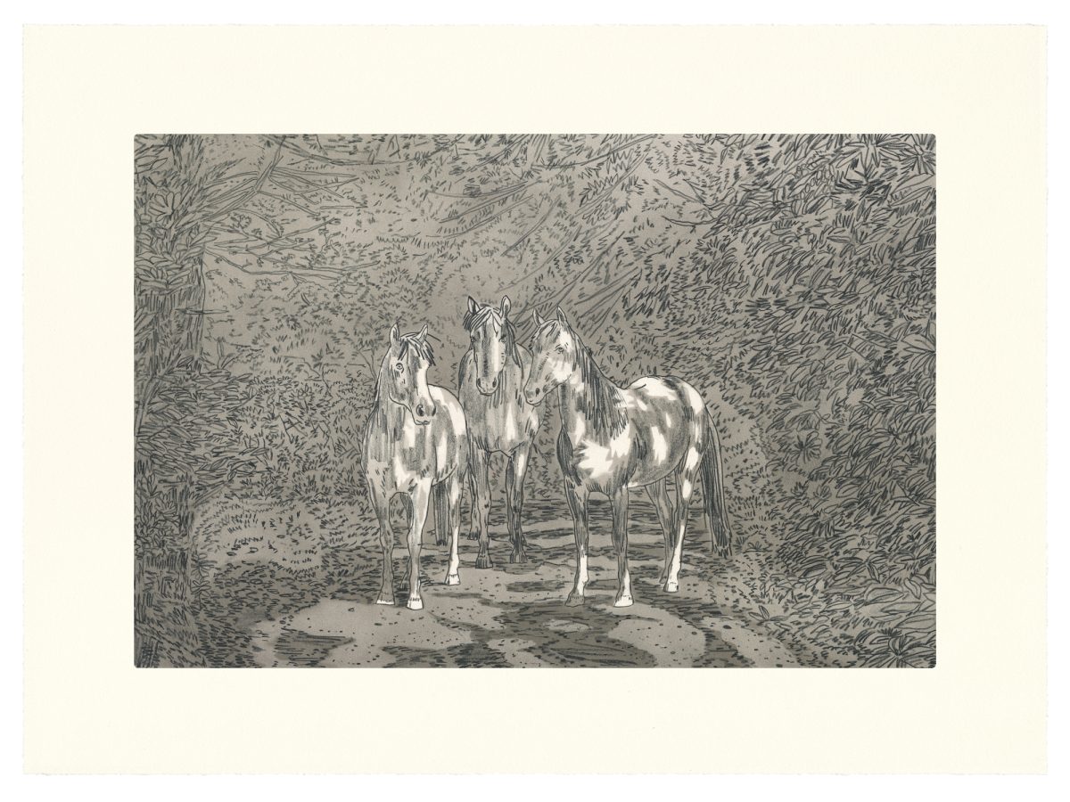 Three horses with white markings stand on a forest path, rendered in intricate black and white line work with detailed cross-hatching that fills the dense vegetation surrounding them on both sides.