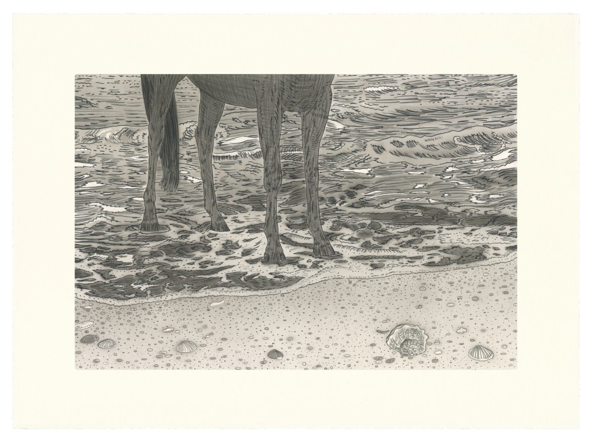 A detailed black and white drawing depicting the lower legs and hooves of an elephant standing in shallow water at a beach, with shells and pebbles scattered across the sand in the foreground and rippling waves visible in the background.