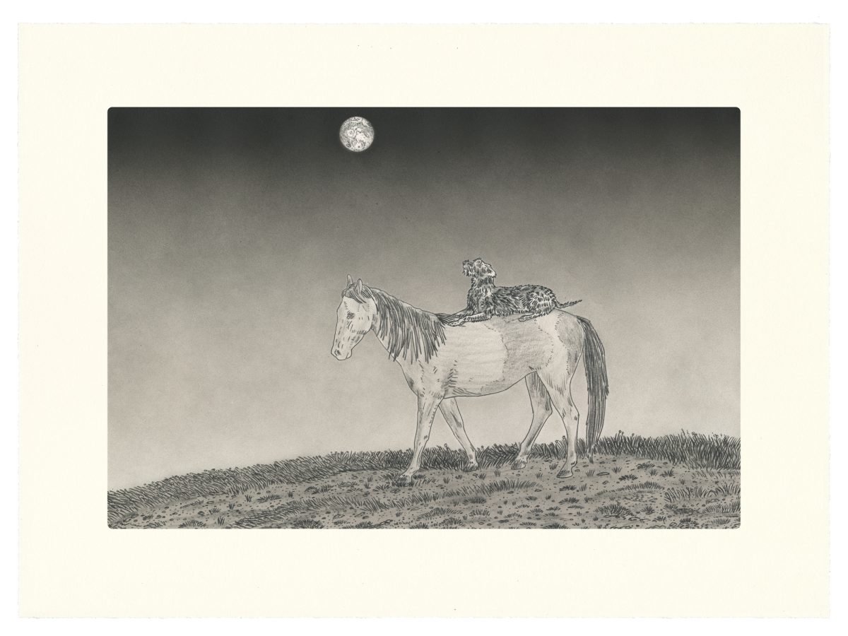 A detailed pencil and ink drawing depicting a horse standing in profile on grassy terrain beneath a moonlit sky. A bird perches on the horse's back, creating an intimate, surreal composition rendered in fine, naturalistic line work against a softly graduated background.
