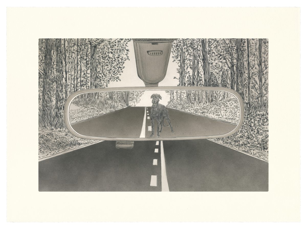 A black and white drawing depicting a view from inside a car on a forest road. Through the windshield and rearview mirror, a solitary dog stands on the center line of the receding road, surrounded by dense woodland. A hanging air freshener hangs from the rearview mirror above.