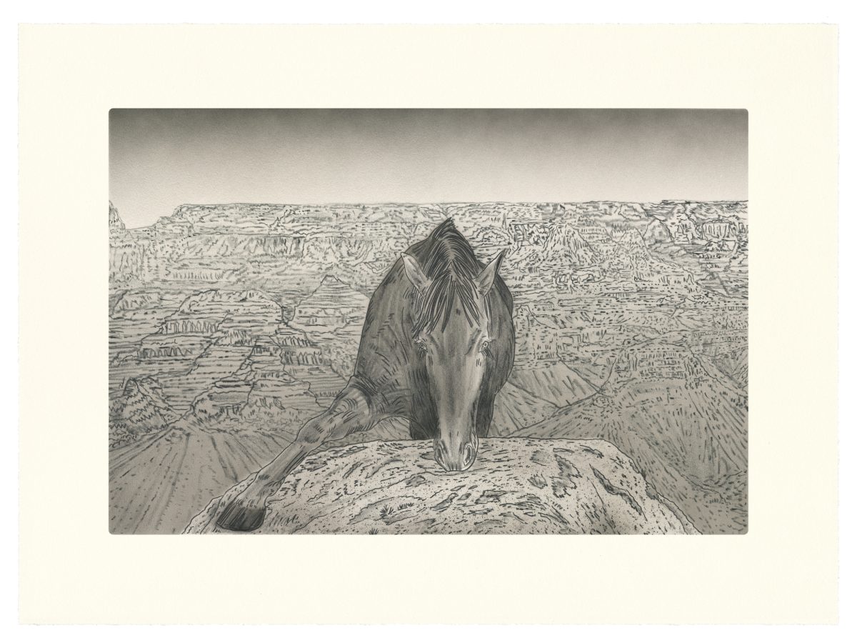 A detailed pencil and ink drawing depicting a horse viewed from behind, lowering its head toward rocky terrain. The horse is rendered with careful cross-hatching and line work, positioned on a rocky outcrop that overlooks an expansive, intricately textured landscape of canyons and plateaus stretching to the horizon.