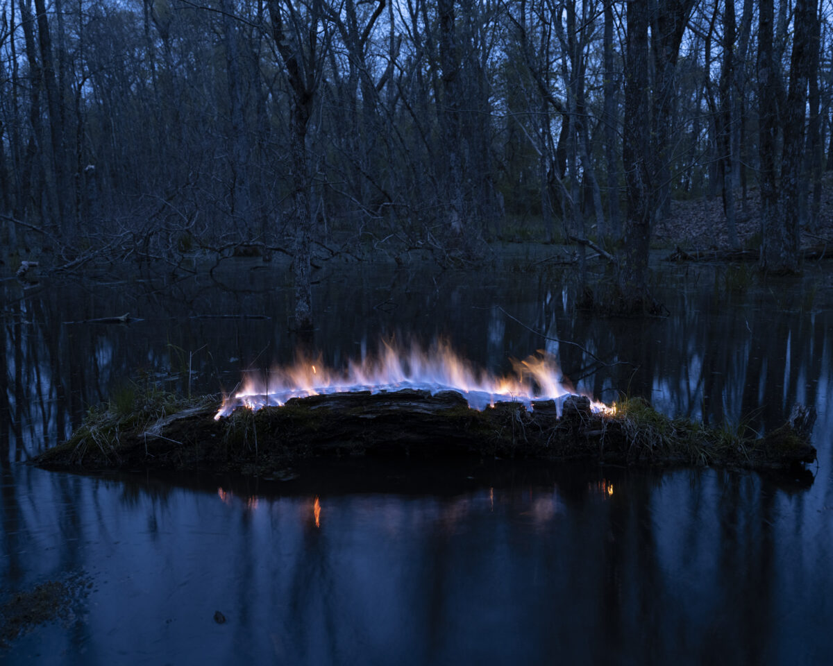 A nocturnal forest scene dominated by a dark, reflective body of water in the foreground. An illuminated fallen log or rock formation sits on a small island, its surface glowing with ethereal blue and white flames that cast warm orange reflections onto the still water. Bare trees line the shoreline and stretch into the misty background, creating a dense, atmospheric woodland setting rendered in deep blue and cool tones.