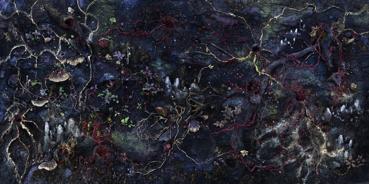 Abstract overhead view of a dark surface densely populated with luminescent organic forms—delicate vine-like structures in red, yellow, and white, scattered circular and fungal shapes in blues and purples, and pale lichen-like patches. The composition creates an intricate, otherworldly ecosystem against a deep blue-black ground, evoking a microscopic or bioluminescent landscape.
