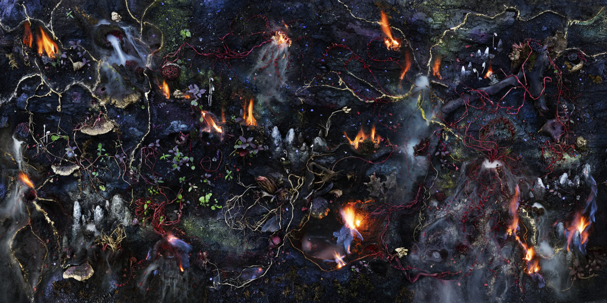 Aerial view of a dark, textured landscape dotted with bioluminescent fungi, glowing vines, and scattered flames in orange and blue. Delicate green shoots and pale mushrooms emerge across the composition, creating an otherworldly, microscopic ecosystem rendered in rich jewel tones and luminous accents against deep charcoal and black.