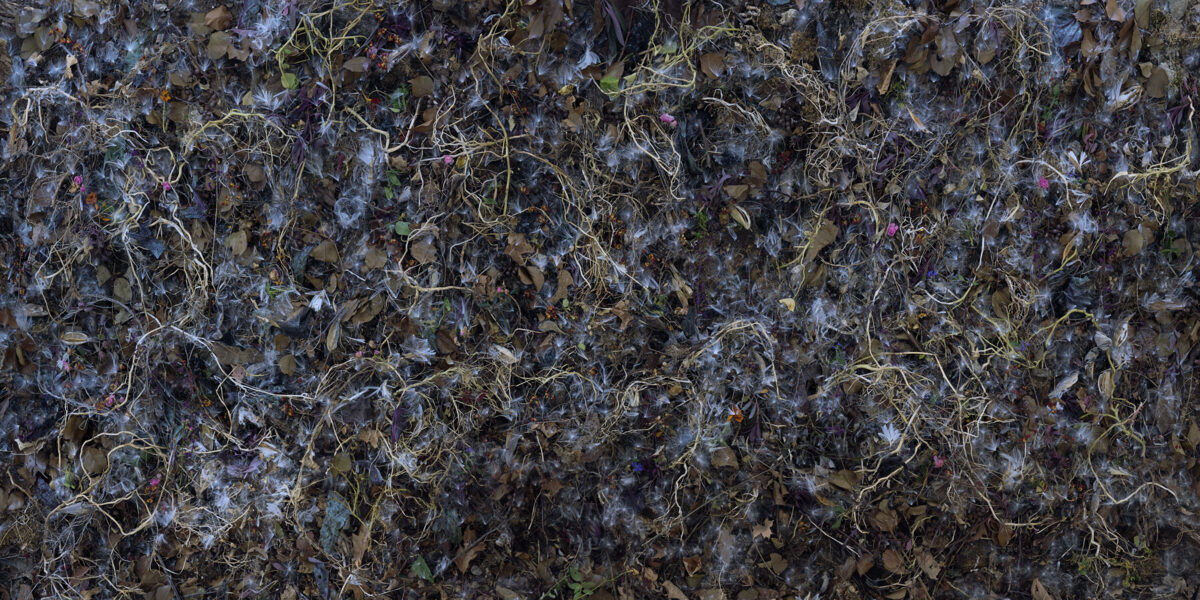 Dense, textured surface composed of dried botanical matter—withered leaves, delicate stems, and seed pods—layered across the entire composition. The palette shifts between deep blues, purples, browns, and muted greens, with patches of pale blue-gray creating visual rhythm throughout. The intricate, organic tangle creates an all-over pattern with no clear focal point, evoking nature in states of decay and transformation.