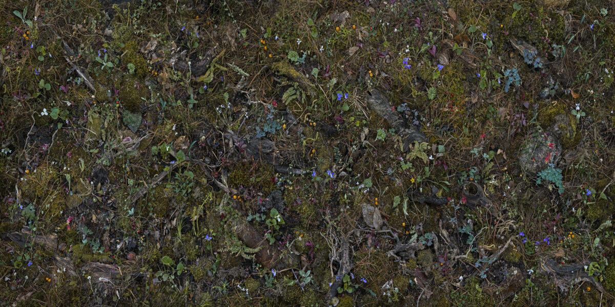 Overhead view of a densely layered botanical composition featuring scattered wildflowers and delicate foliage in shades of blue, purple, pink, yellow, and white against dark earth tones and moss-covered ground, creating an intricate, naturalistic tapestry across the entire surface.