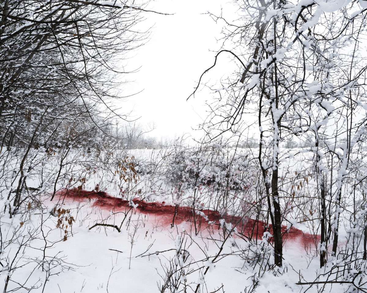 A snow-covered landscape with bare trees framing a frozen pond or stream. A striking red pigment flows across the white snow in the middle distance, creating a bold linear mark that contrasts sharply with the monochromatic winter scene.