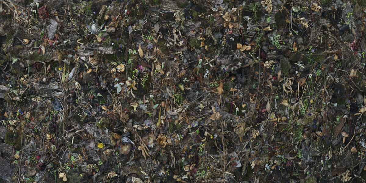 Densely layered overhead view of withered flowers, dried plant matter, and delicate stems arranged across a dark surface, with muted earth tones, burgundy, pale yellows, and touches of green creating a complex, textural composition suggestive of decay and botanical specimens.