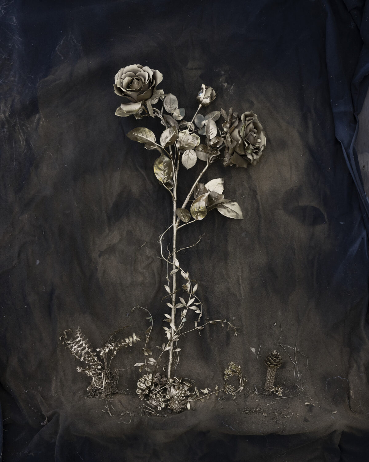 A delicate rose branch with multiple blooms and leaves stands vertically against a dark, textured background, accompanied by small botanical specimens and dried plant material at its base. The monochromatic composition emphasizes fine detail and creates a contemplative, almost melancholic mood through its muted tones and carefully arranged naturalistic elements.