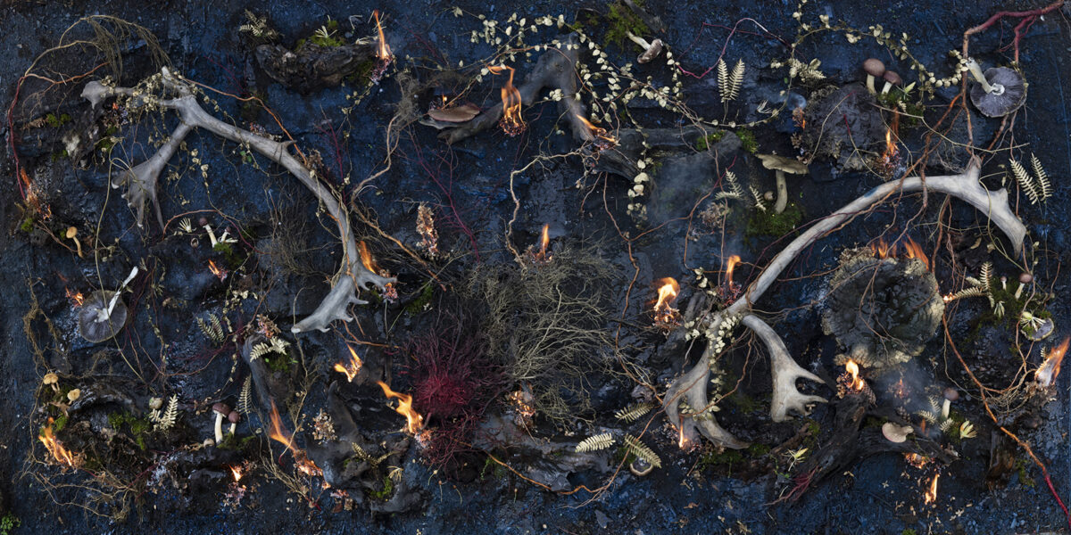 Overhead view of a dark blue ground scattered with bleached branches, delicate white flowers, green ferns, and small mushrooms, interspersed with areas of glowing orange flame and darker charred sections, creating a composition that suggests forest decay and renewal.
