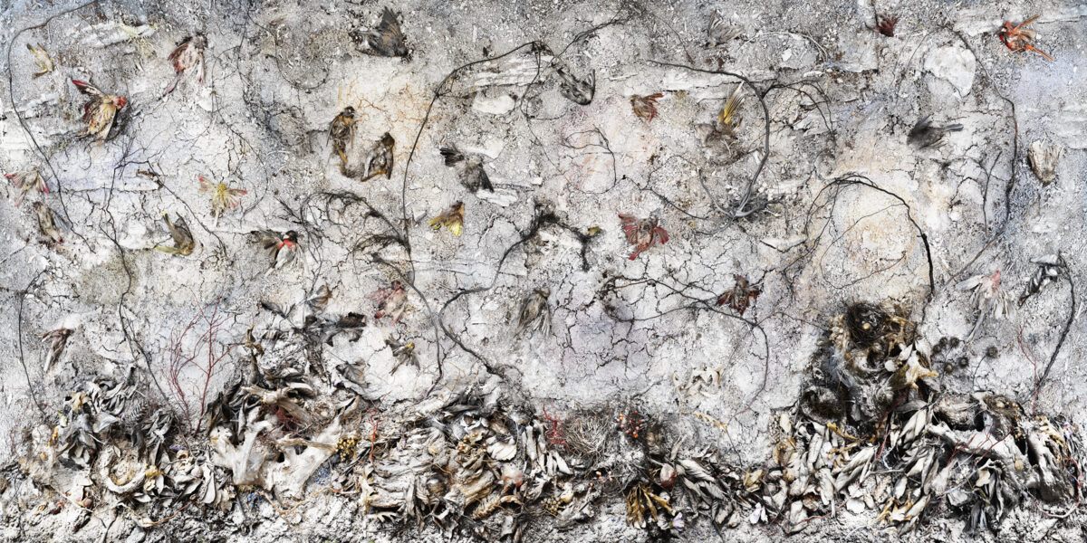 A large-scale abstract composition featuring a white and gray textured ground scattered with dried botanical fragments—petals, stems, and seed pods—in muted earth tones of brown, ochre, and black. Dense clusters of organic material accumulate toward the bottom edges while delicate plant remains are dispersed across the upper surface, creating a sense of natural decay and dispersal against the luminous background.