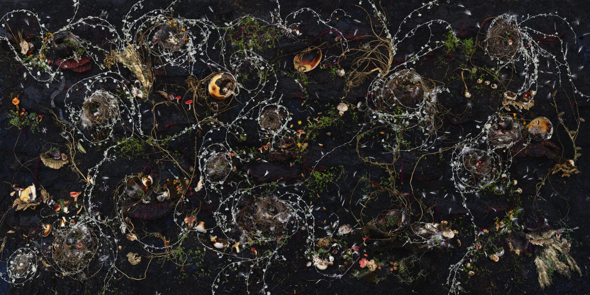 Intricate overhead composition of botanical elements and organic forms arranged across a dark background. White vine-like structures intertwine with dried flowers, mushrooms, moss, and metallic copper-toned spheres in a densely layered, symmetrical pattern that suggests both decay and growth.