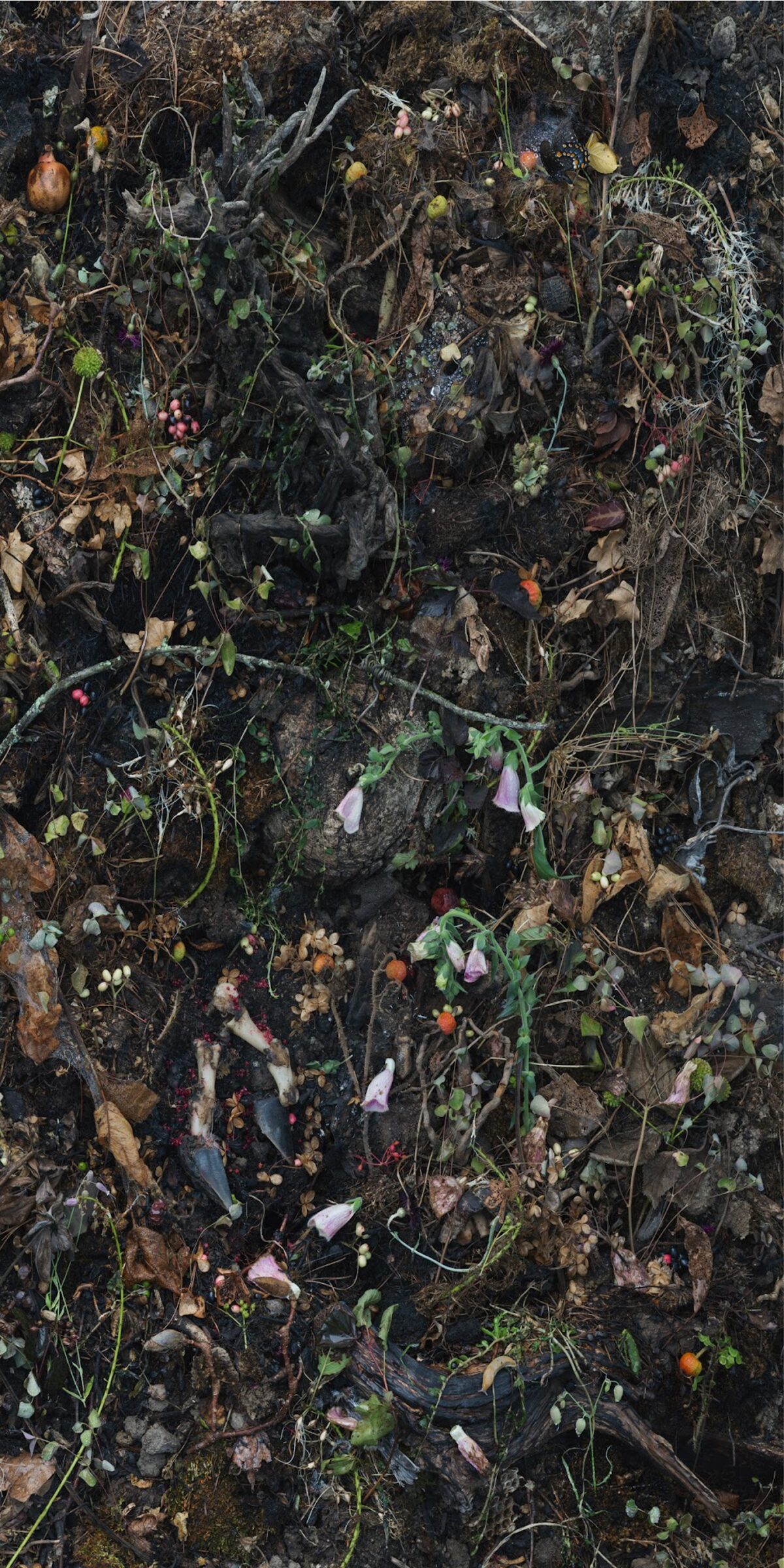 Dense overhead view of dark soil and decomposing organic matter interwoven with delicate green shoots, pale flowers in pink and lavender tones, and scattered yellowed and rust-colored debris, creating a complex textural composition that suggests renewal within decay.
