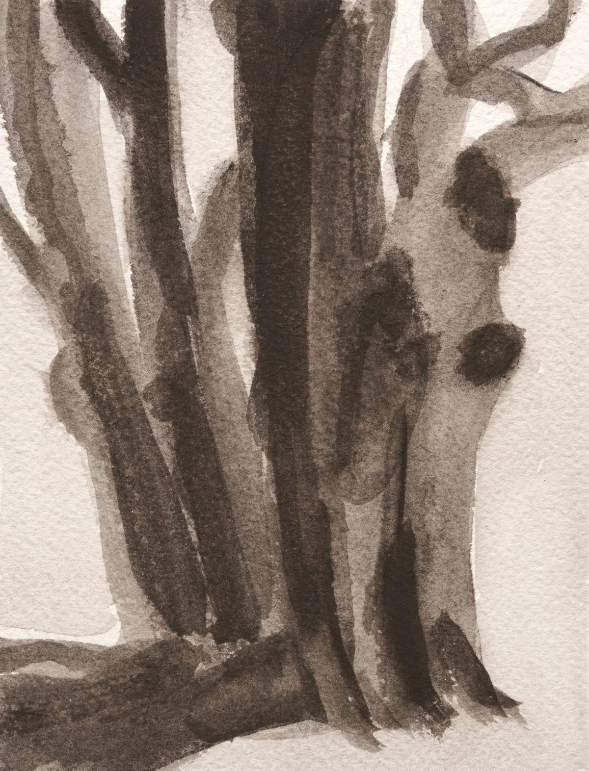 Sepia-toned watercolor painting of tree trunks viewed from below, their vertical forms rendered in layered washes of gray and brown that create depth and shadow through subtle gradations of tone.
