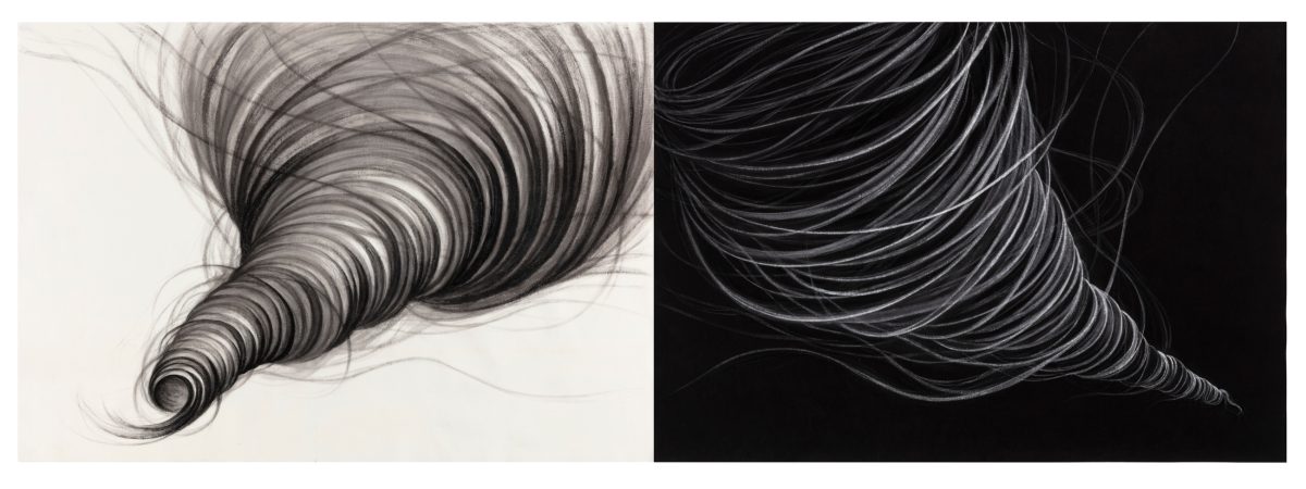 Diptych showing a spiraling form rendered in charcoal and ink, depicted on light background at left and dark background at right. The composition features tightly wound, hair-like linear strokes that taper to a fine point, creating a sense of movement and density that gradually diminishes toward the bottom.