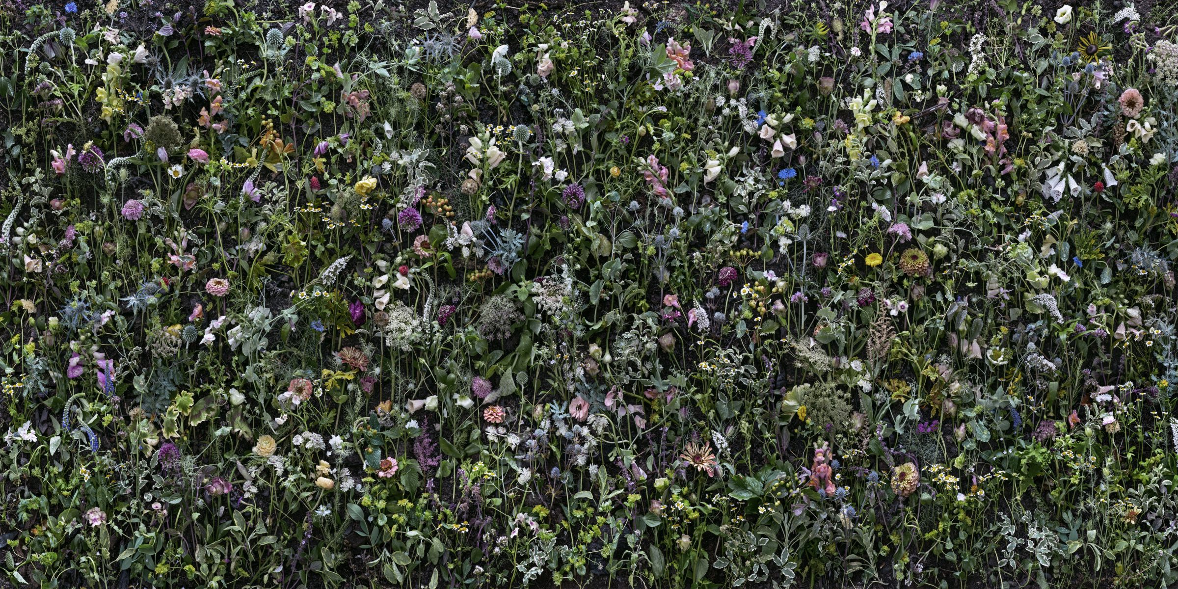 Dense, all-over composition of wildflowers and flowering plants in shades of purple, pink, white, blue, and yellow, interwoven with green foliage and stems creating a lush, naturalistic garden scene.