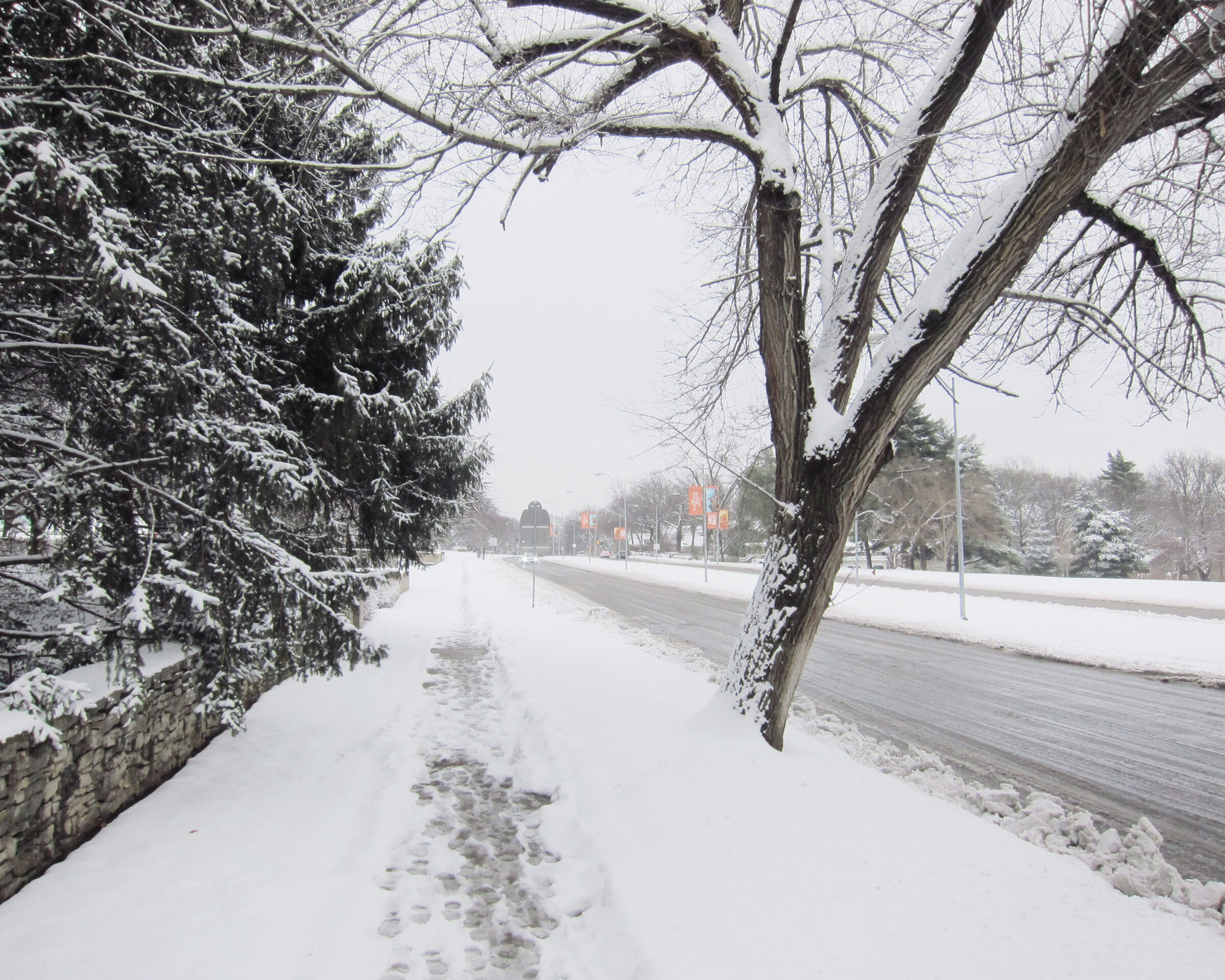 A snow-covered pathway lined with bare trees and evergreen shrubs, with footprints marking a trail through the white landscape. In the distance, a plowed street runs parallel, flanked by lamp posts and additional trees fading into the overcast winter atmosphere.