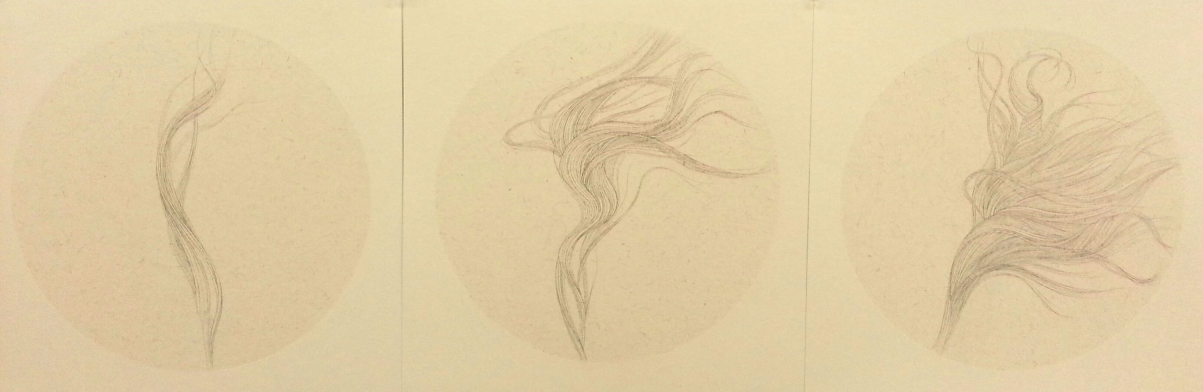 Three delicate pencil sketches on cream-colored paper depicting flowing, wispy strands or flames rendered with fine, gestural linework. The drawings progress from a single sinuous form on the left to increasingly elaborate, multi-directional compositions toward the right.