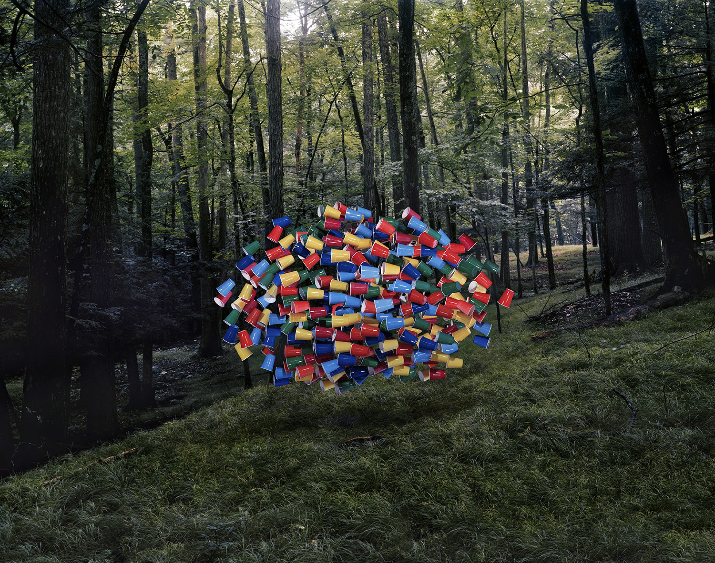A vibrant cluster of red, blue, yellow, and green plastic cups floats suspended in a dense forest clearing, surrounded by tall dark tree trunks and green undergrowth.