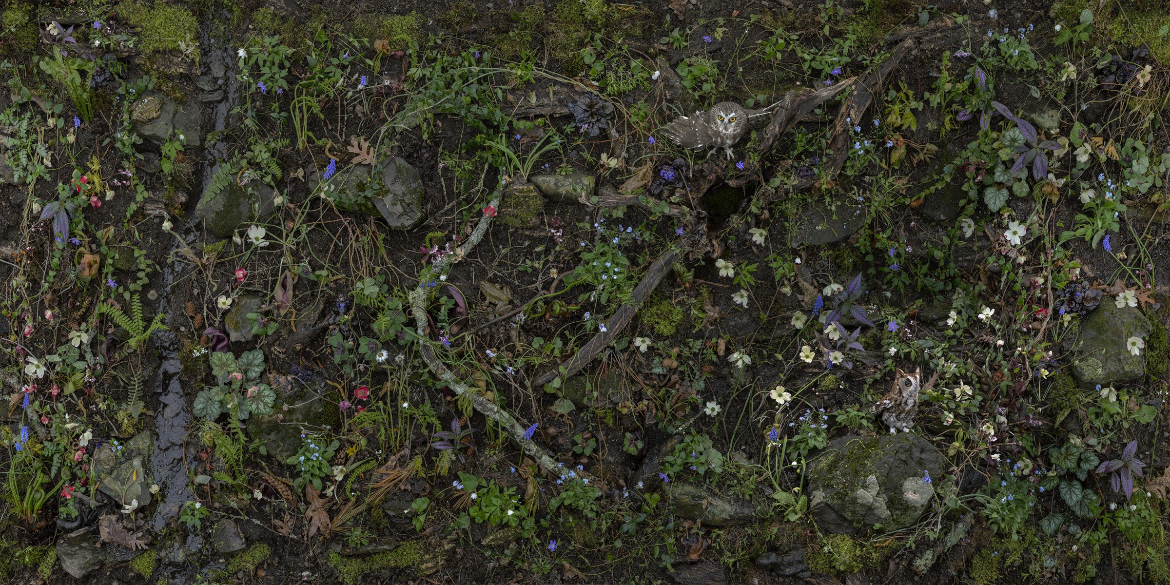 Overhead view of a densely woven garden floor featuring moss-covered stones, twisted branches, and delicate flowering plants in shades of blue, white, pink, and purple among rich green foliage and earth tones.