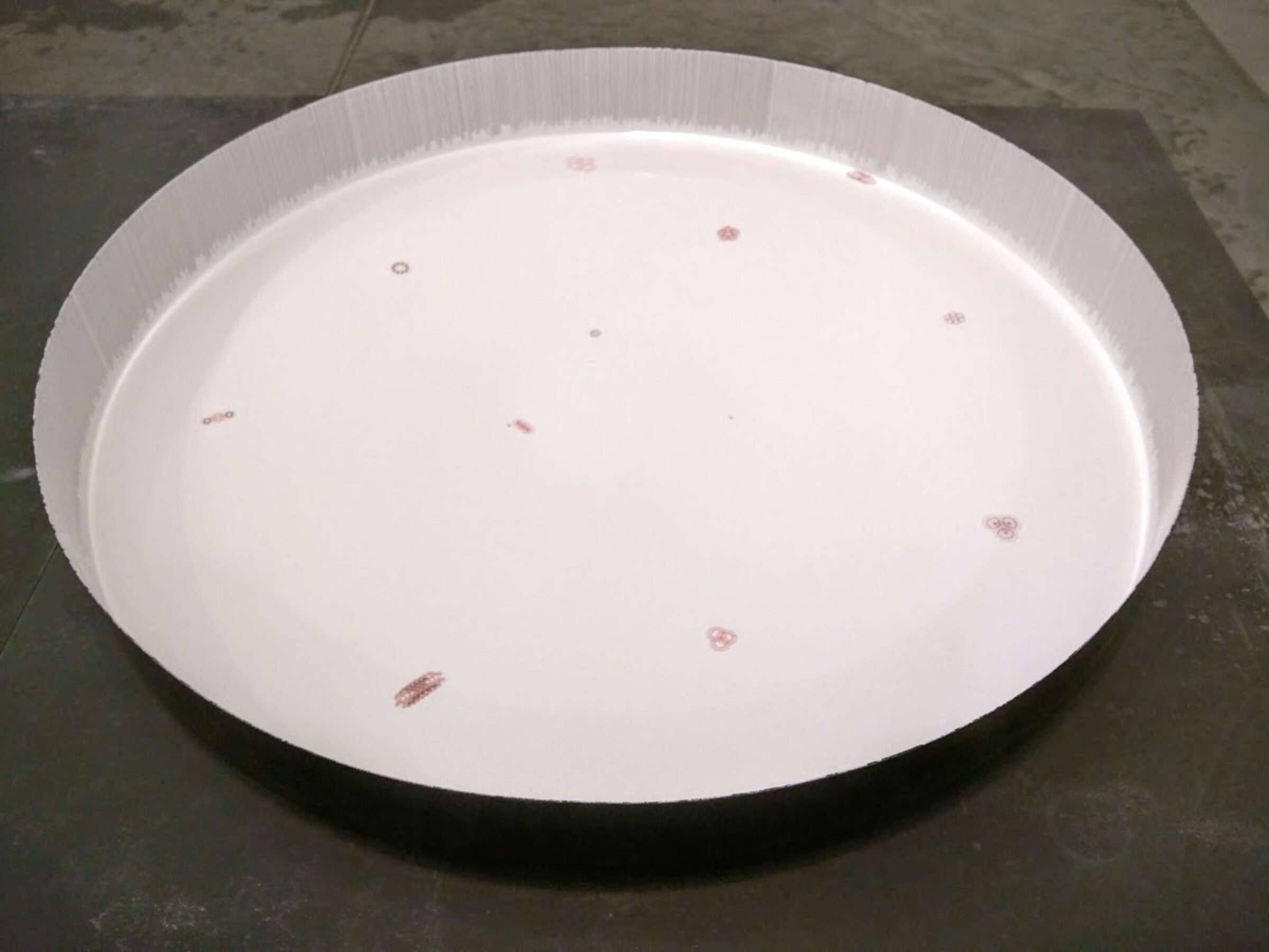 A large white circular bowl with a ribbed rim contains a subtle scatter of small red and gray marks distributed across its interior surface. The marks appear algorithmic or randomly placed, creating a minimalist composition against the pristine white ground.