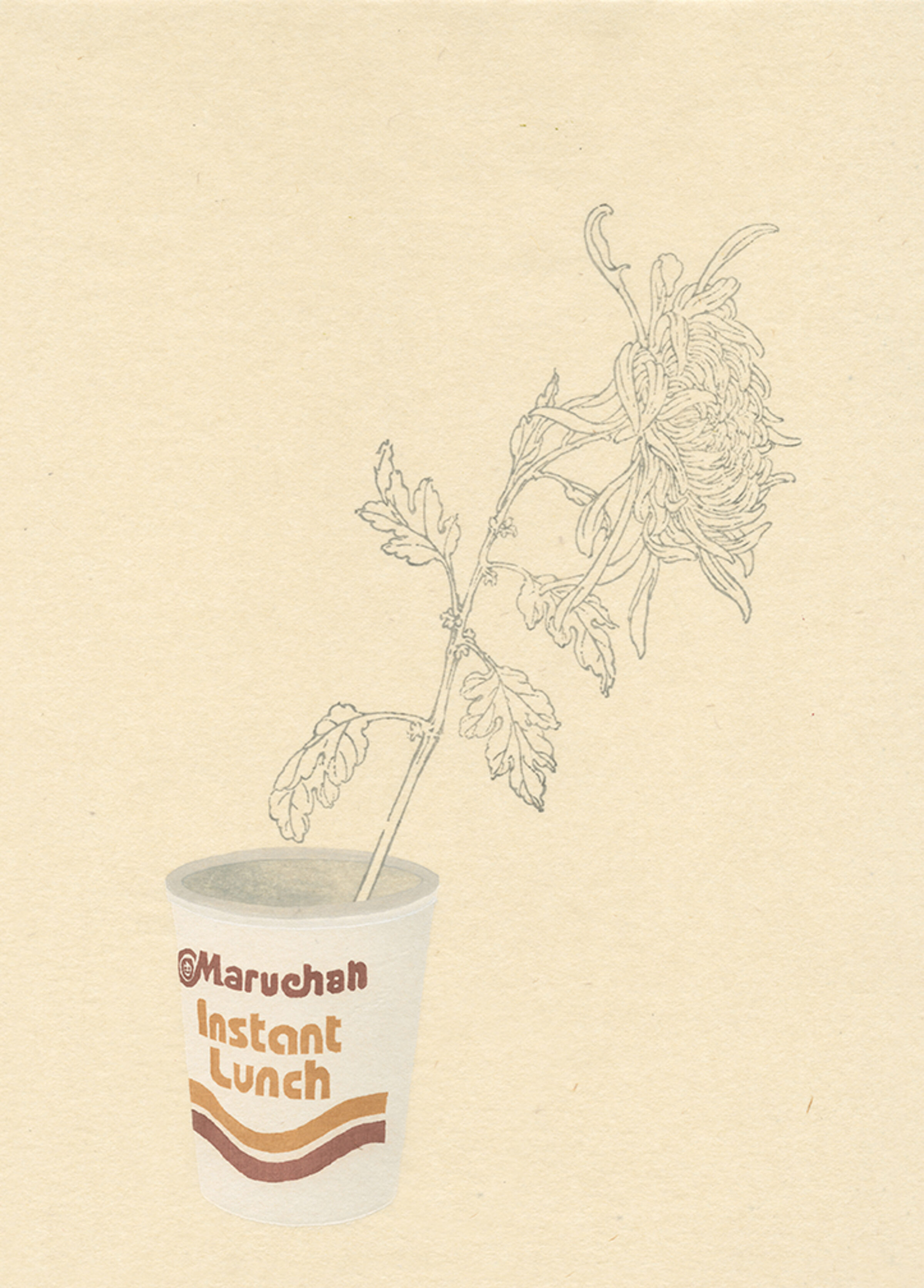 A delicate line drawing of a flowering plant with drooping petals emerges from a white cup labeled "Maruchan Instant Lunch" in orange and brown lettering against a cream-colored background. The botanical subject contrasts with the humble commercial packaging, rendered in a minimal, sketch-like style.