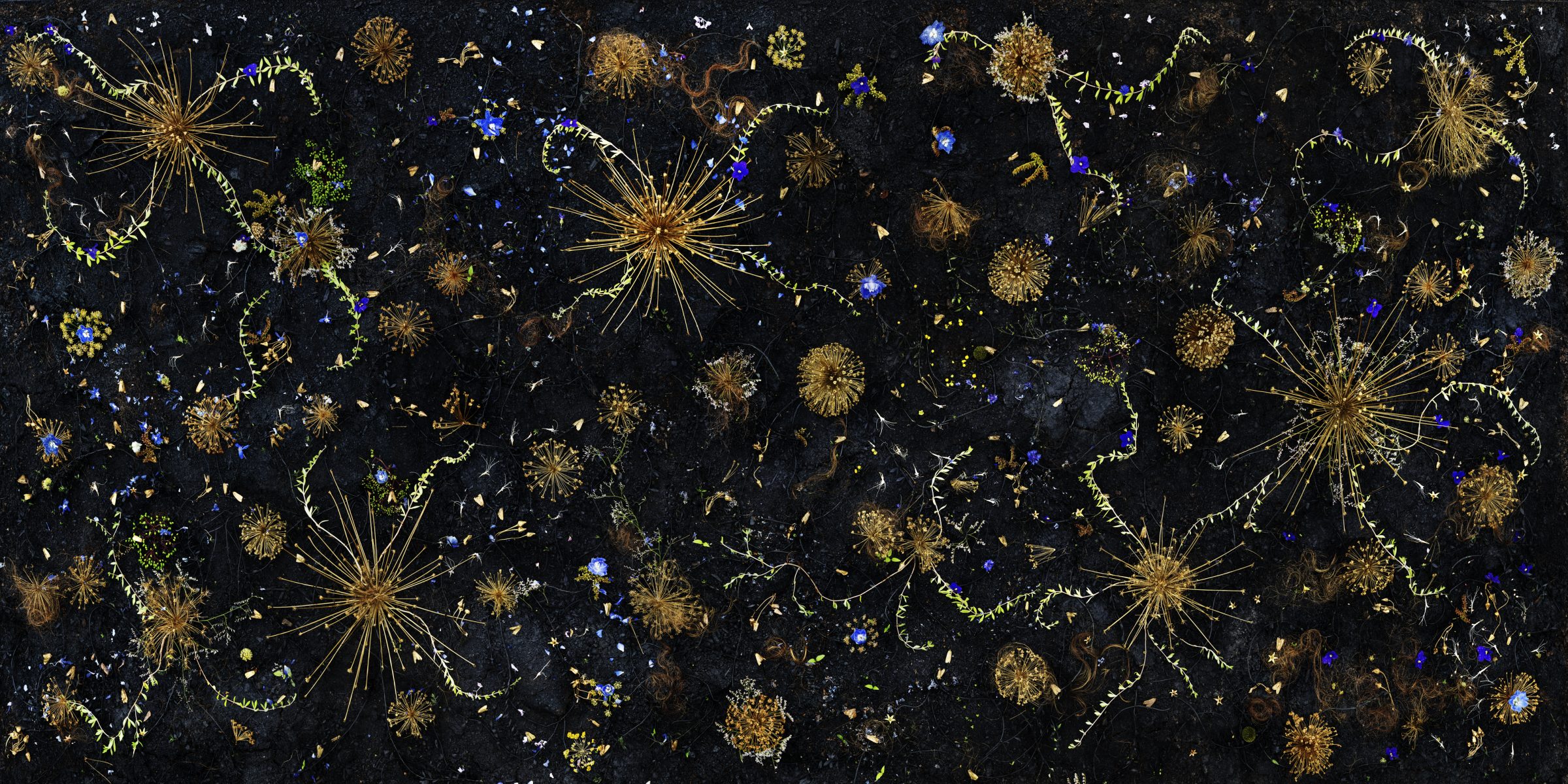 Abstract composition on dark background featuring luminous botanical and geometric forms in gold, blue, and chartreuse. Radiating starburst patterns and delicate branching structures scatter across the surface alongside spherical clusters and dotted shapes, creating an intricate, dreamlike celestial or microscopic landscape.
