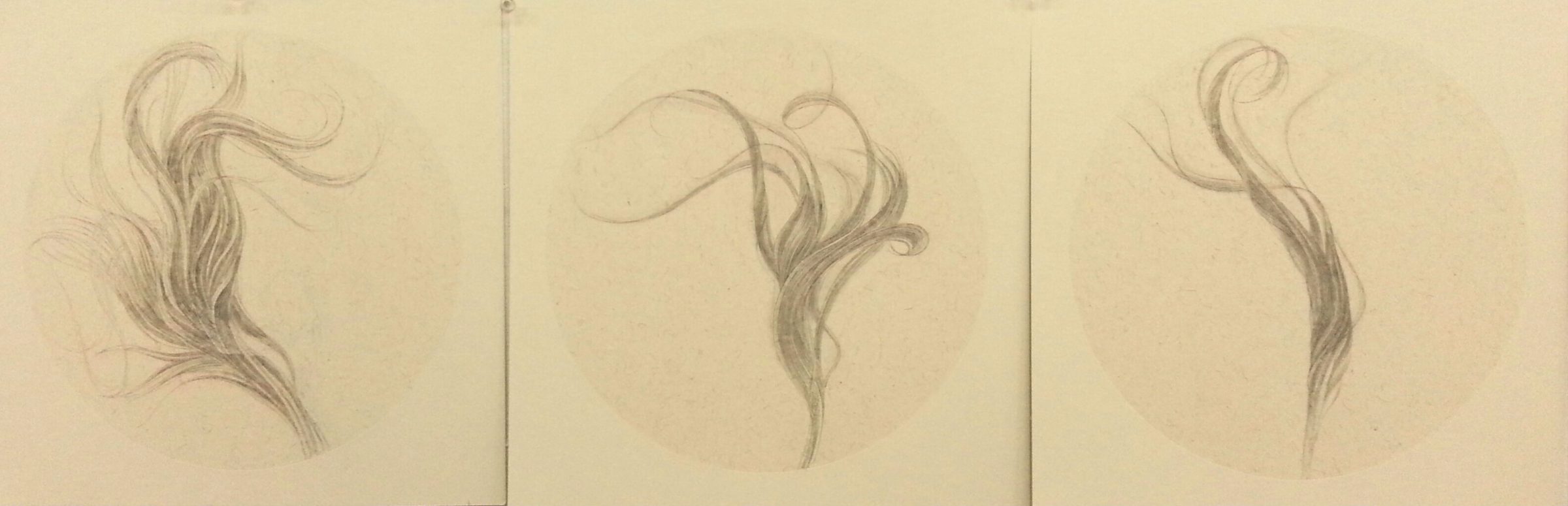 Three delicate ink drawings on cream-colored paper depicting organic, flowing forms with curling tendrils and wispy, hair-like strands rendered in soft gray and black tones. The sketches are arranged horizontally across the page with subtle variations in composition and movement.
