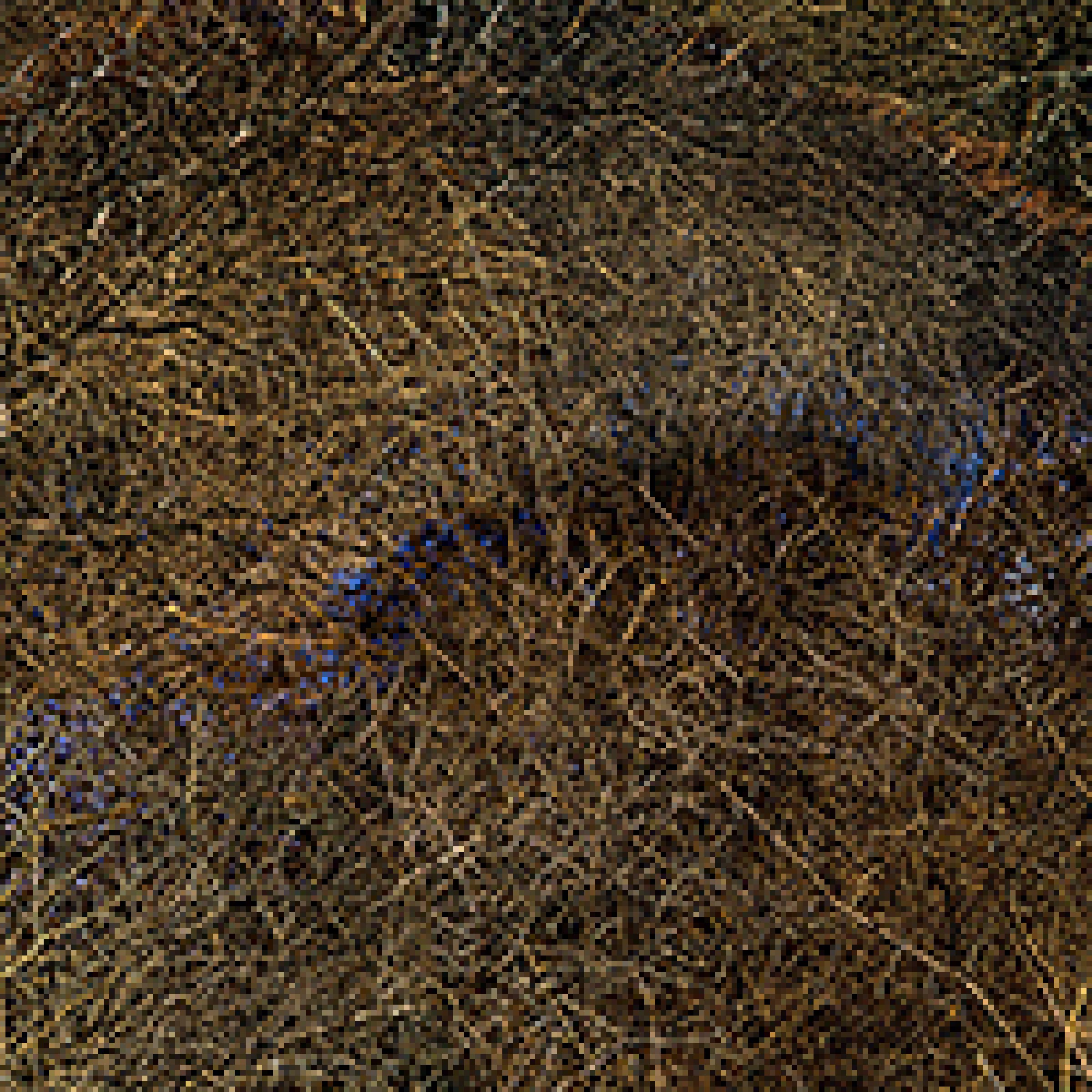 Dense network of intertwining dark branches and twigs against a warm brown and ochre ground, creating an intricate, tangled linear composition across the entire frame.