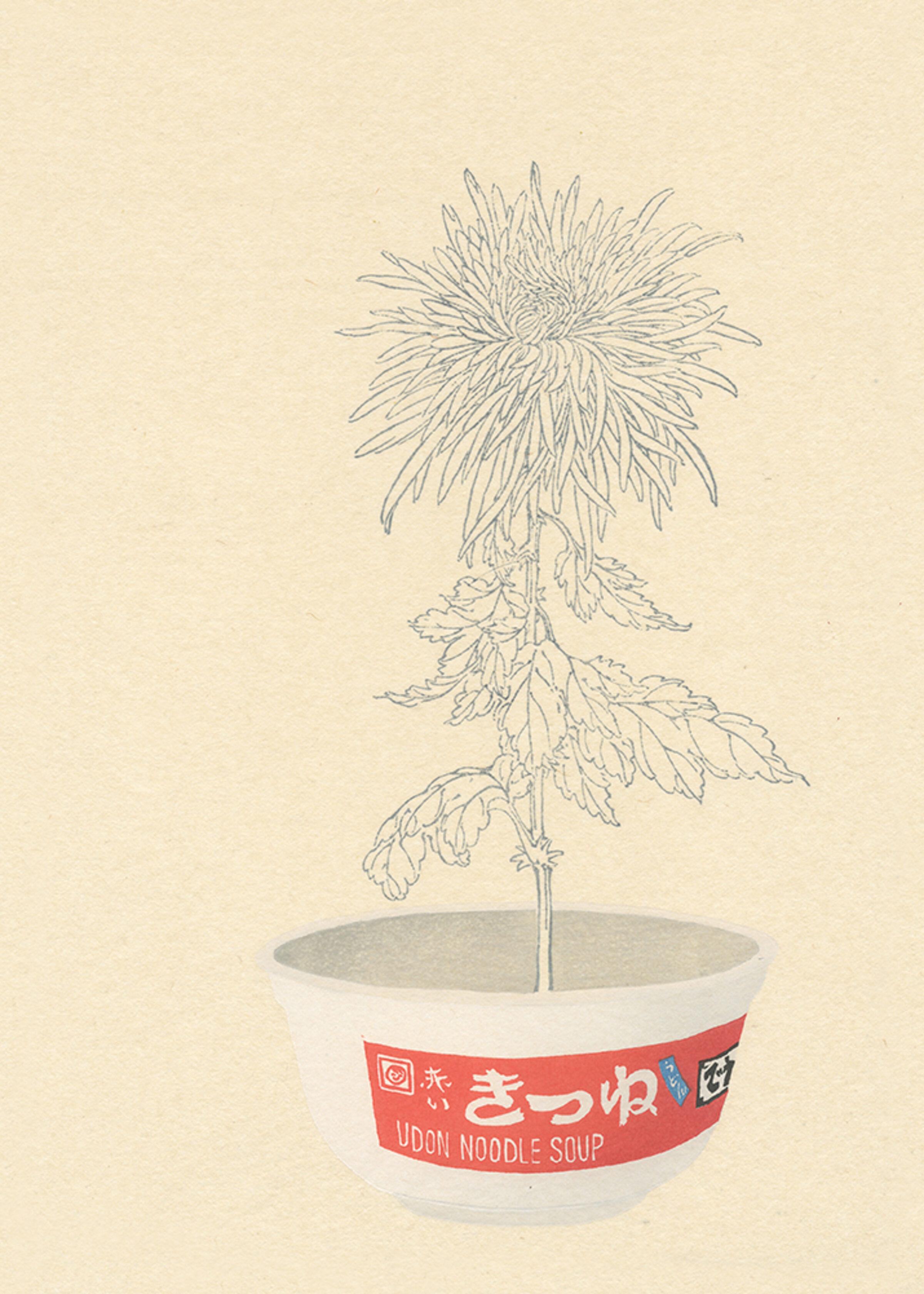A delicate line drawing of a wilting chrysanthemum with drooping petals and leaves emerges from an instant udon noodle soup bowl with red labeling, set against a cream-colored background.