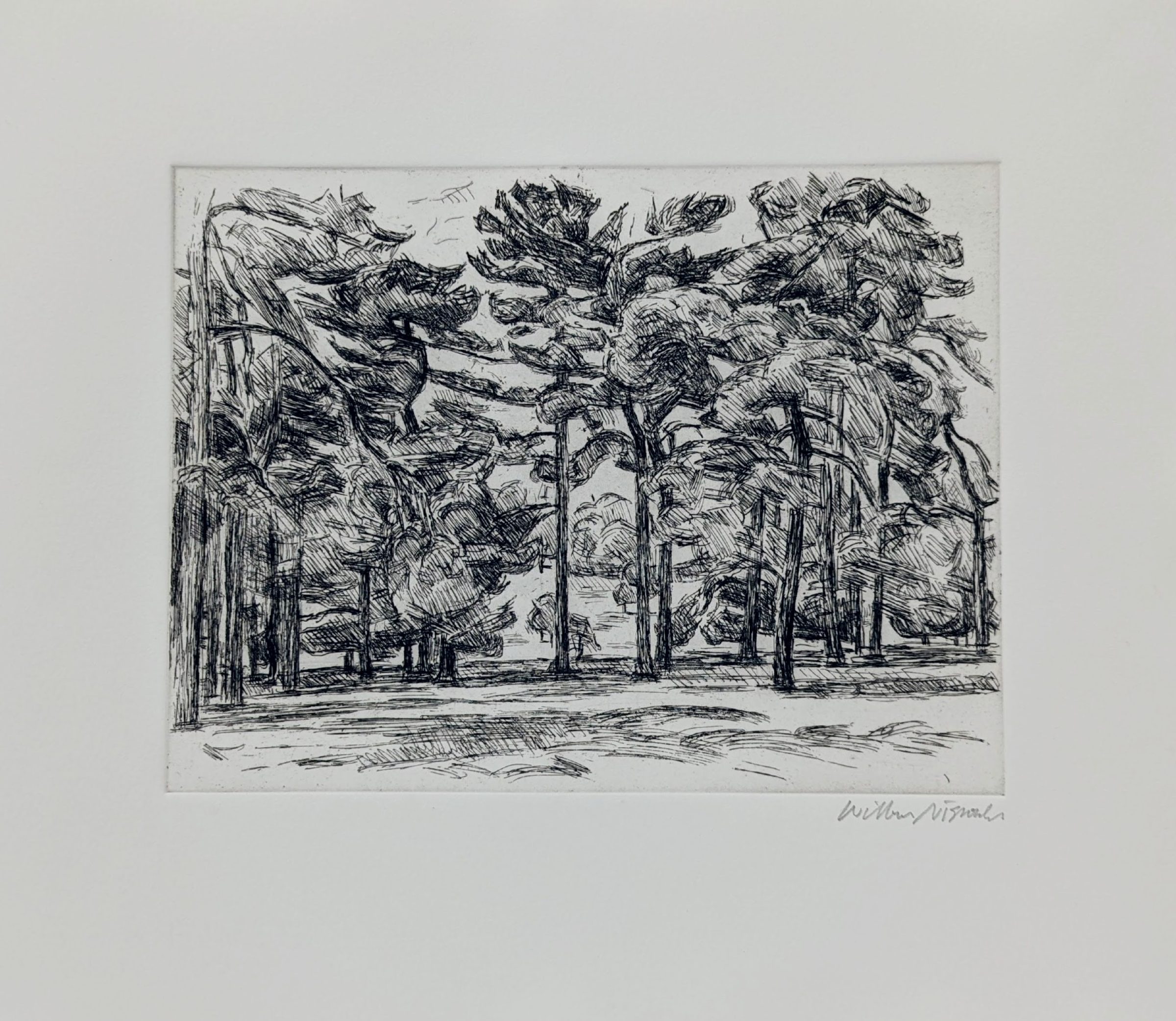 Black ink etching on white paper depicting a forest scene with tall pine trees receding into the distance, their trunks rendered in bold vertical lines while the canopy above is densely hatched with expressive, gestural marks suggesting foliage and atmosphere. The foreground shows an open ground plane, creating depth through the linear perspective of the tree-lined composition.