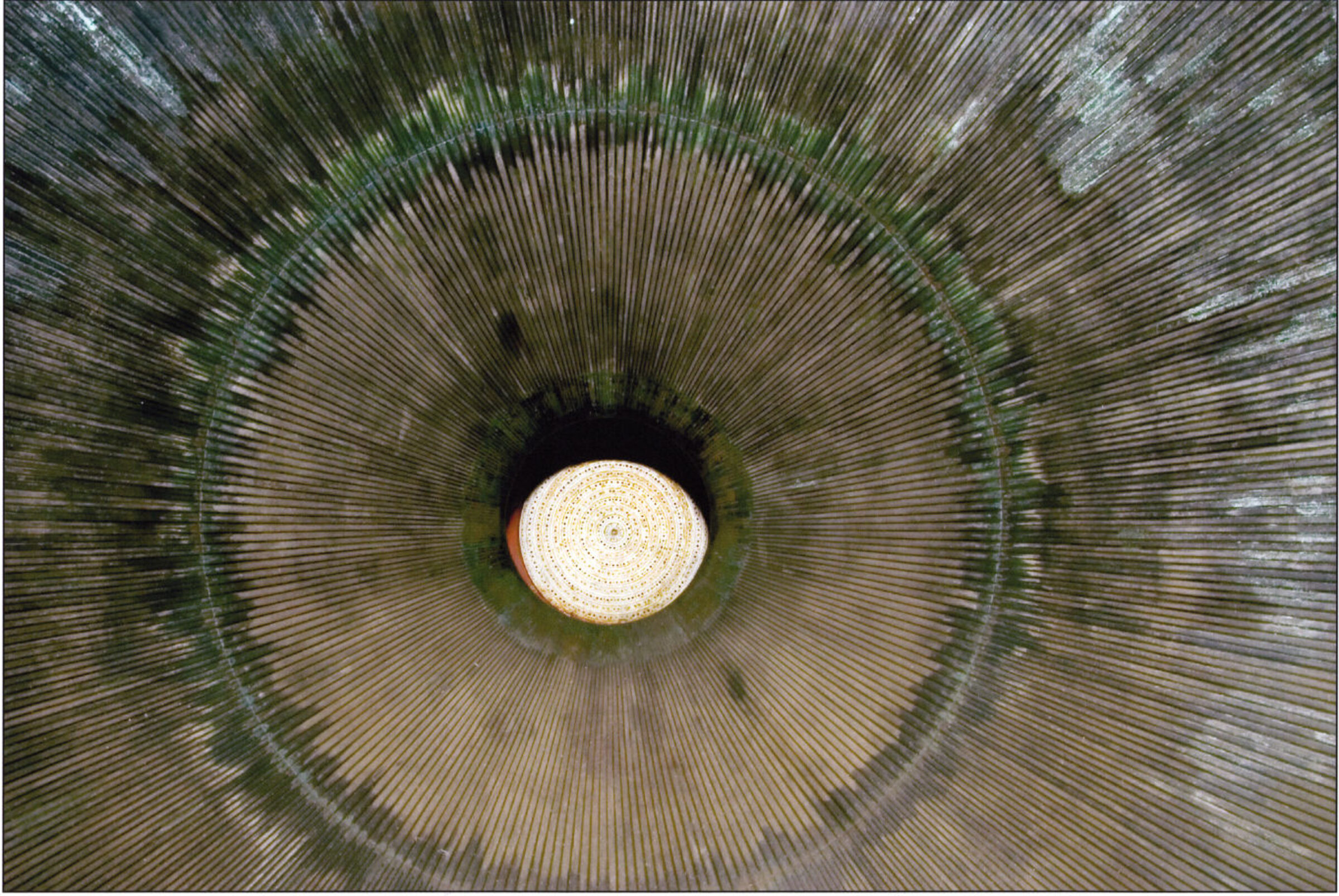 Concentric circles in shades of green, tan, and cream radiate outward from a luminous pale center, creating a hypnotic, tunnel-like composition. Fine linear striations throughout the composition suggest organic growth patterns or microscopic detail rendered at monumental scale.