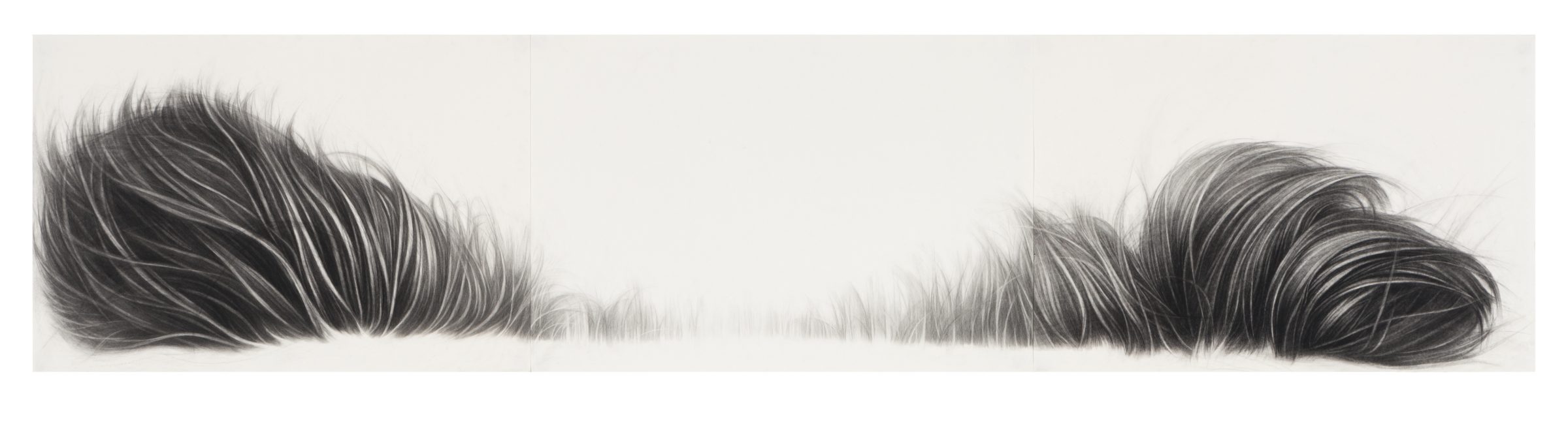 A horizontal triptych of charcoal drawings depicting two abstracted dark hair-like forms on either side with empty white space between them, creating a sense of separation or distance. The gestural marks are rendered with fine, flowing lines that fade gradually toward the center.